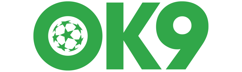 ok9vn.com