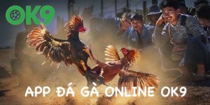 App Đá Gà Online - Ứng Dụng Cá Cược Mới Nhất Tại OK9