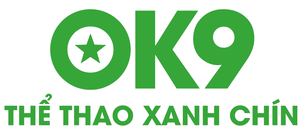 ok9vn.com